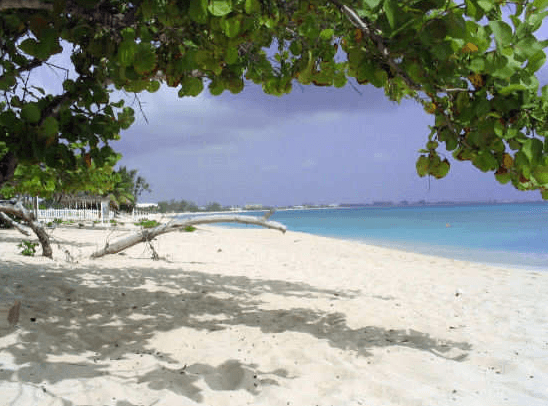 cemetery reef snorkeling grand cayman