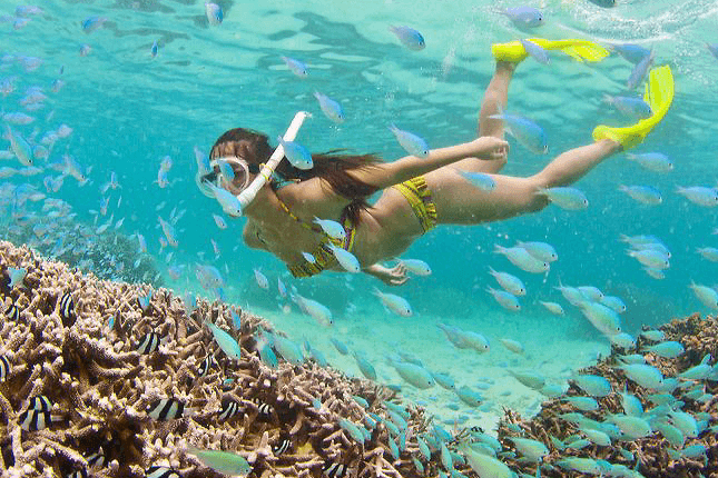 Cayman Island Snorkeling Spots Cayman Island Snorkeling Spots