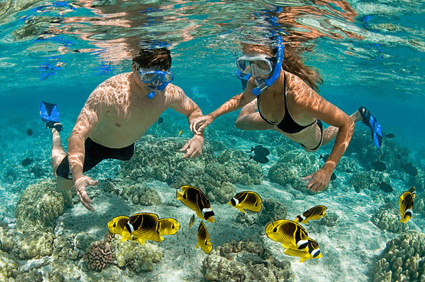 grand cayman snorkeling tours