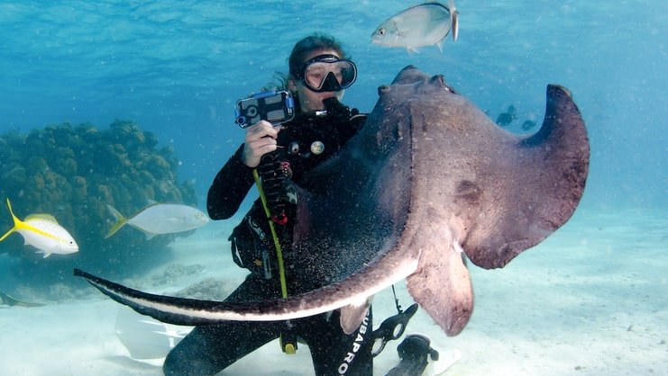 women scuba diving with a stingray