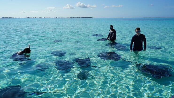 three people standing with stingrays at the sandbar