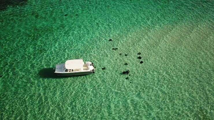 grand cayman catamaran stingray city