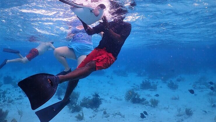 picture of someone snorkeling and holding a stingray