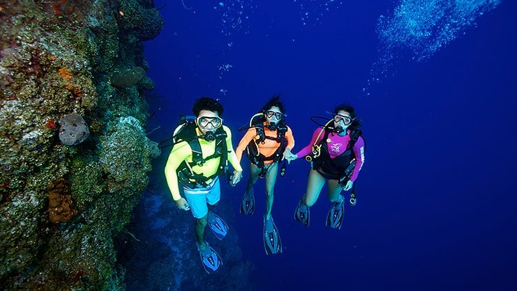 picture of three people diving at north wall