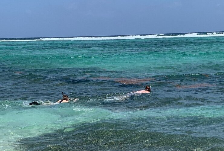 picture of two people snorkeling