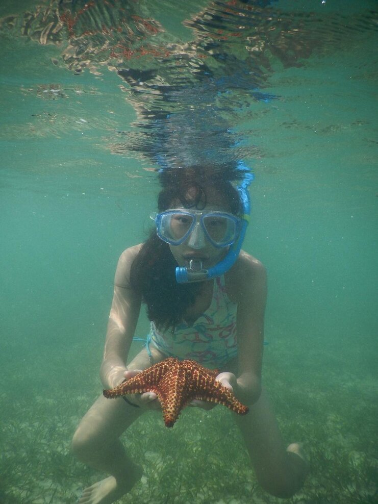 picture of woman snorkeling underwater holding a starfish