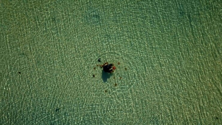 picture of person surrounded by starfish