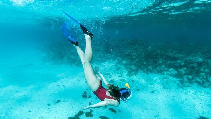 picture of women snorkeling