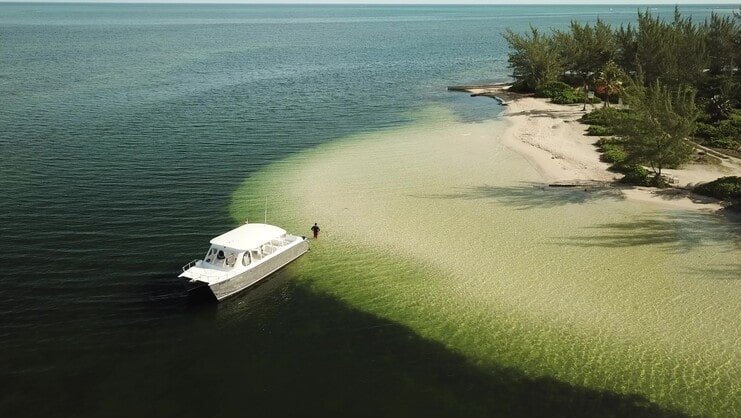 picture of a boat and person at starfish point with sea and trees in background