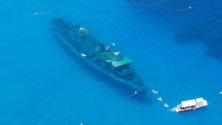 picture of kittiwake from the air