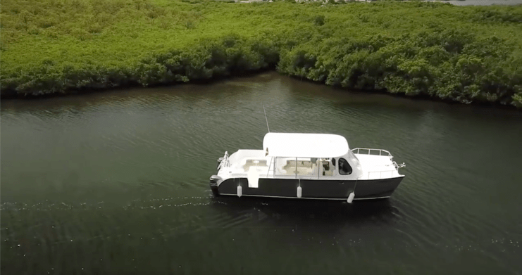 picture of boat with mangroves in background