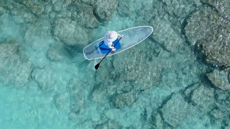 image showing a person paddle boarding in the Caribbean sea